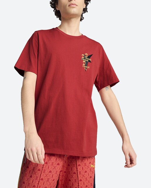 Imagen 0 de Camiseta de hombre ROAD TO UNITY Graphic Tee Puma