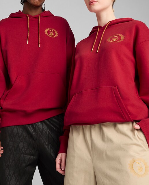 Imagen 0 de Sudadera de hombre PUMA X HARRY POTTER Relaxed Graphic Hoodie TR Puma