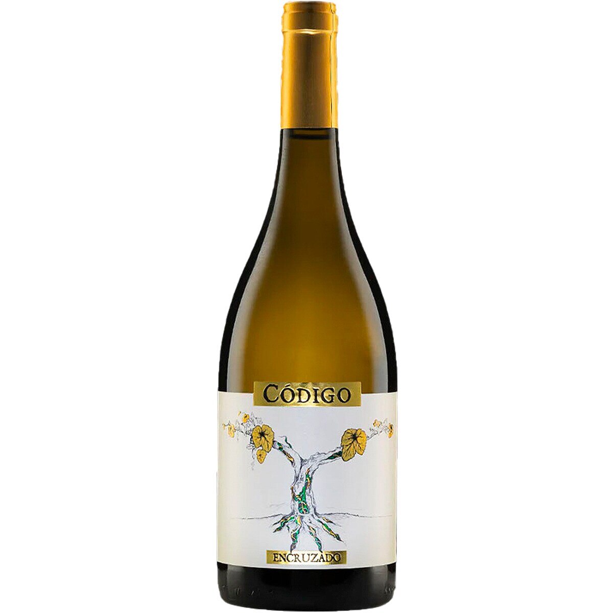 Imagem 0 de Vinho Branco do Dão Encruzado garrafa 75 cl