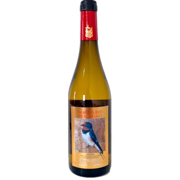 Imagem 0 de Vinho Branco do Dão Encruzado