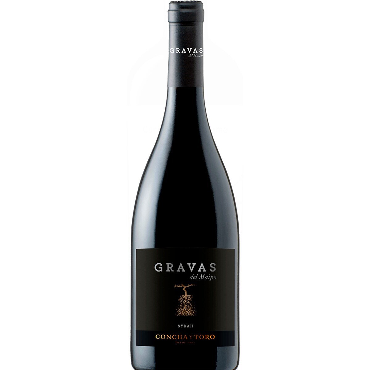 Imagem 0 de Vinho Tinto do Chile Syrah garrafa 75 cl