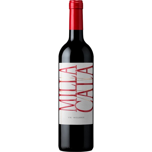 Imagem 0 de Vinho Tinto do Chile garrafa 75 cl