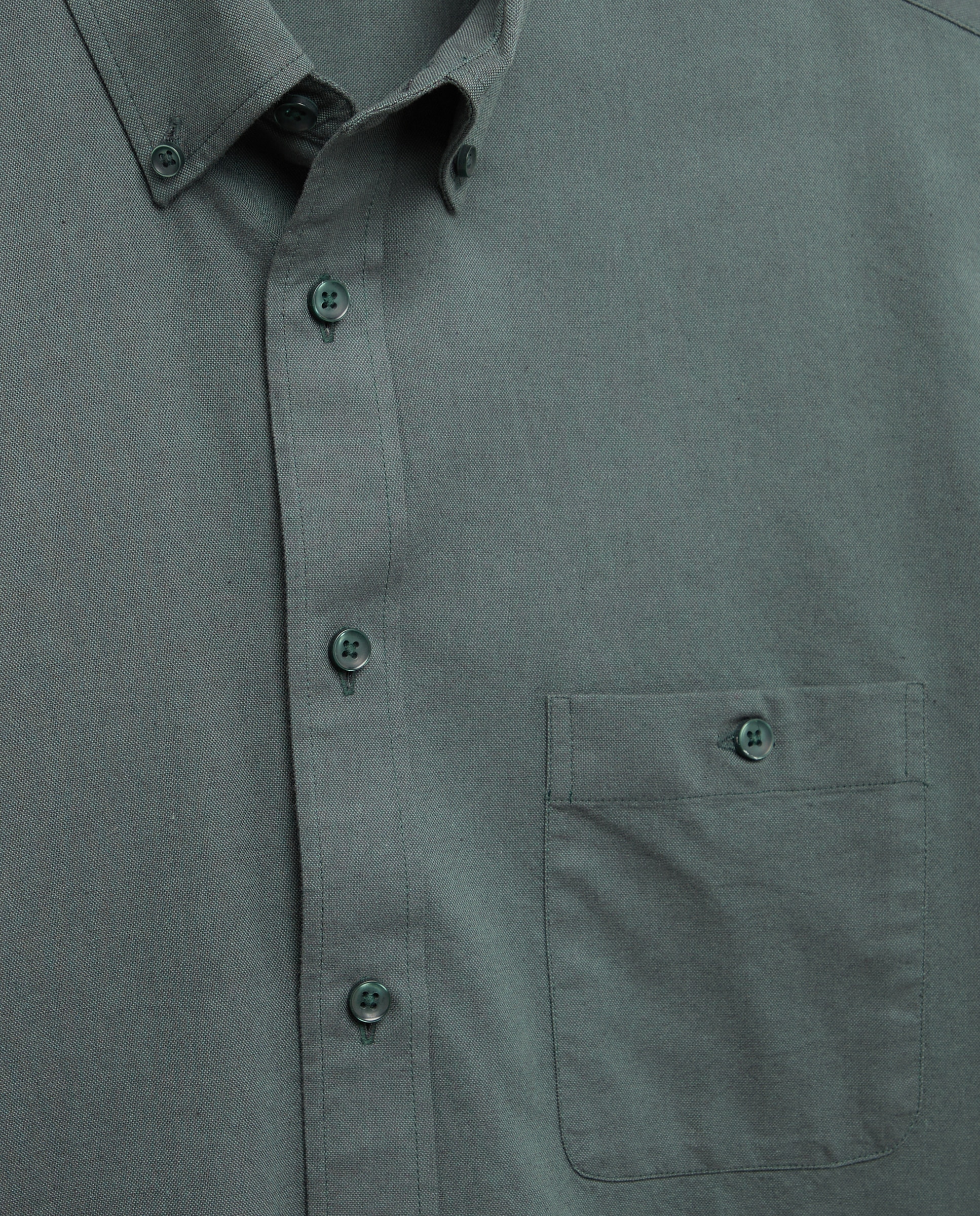 Camisa Oxford Lisa Verde-escuro-5