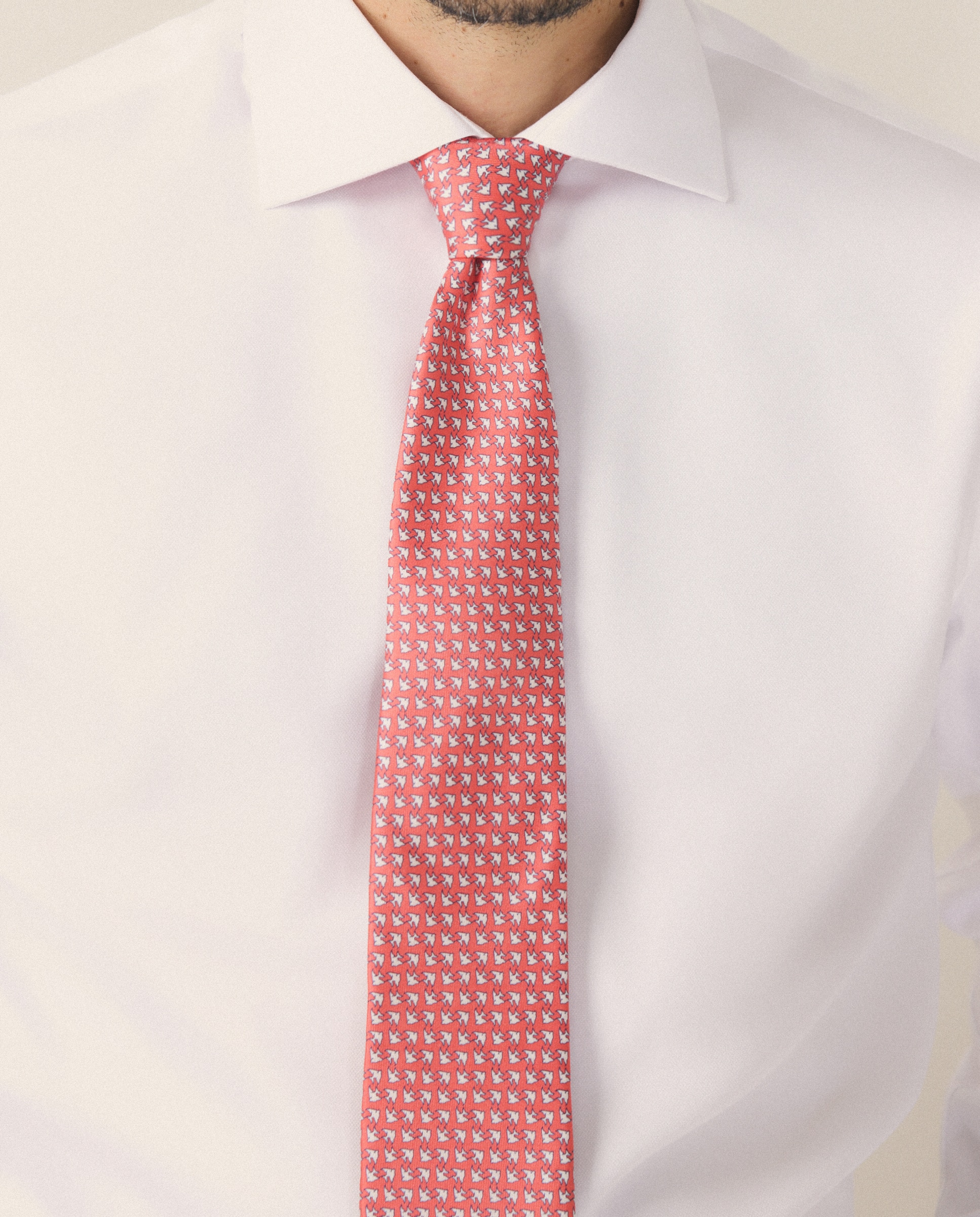 Camisa de hombre vestir non iron regular fit - Emidio Tucci - Blanco Blanco-4