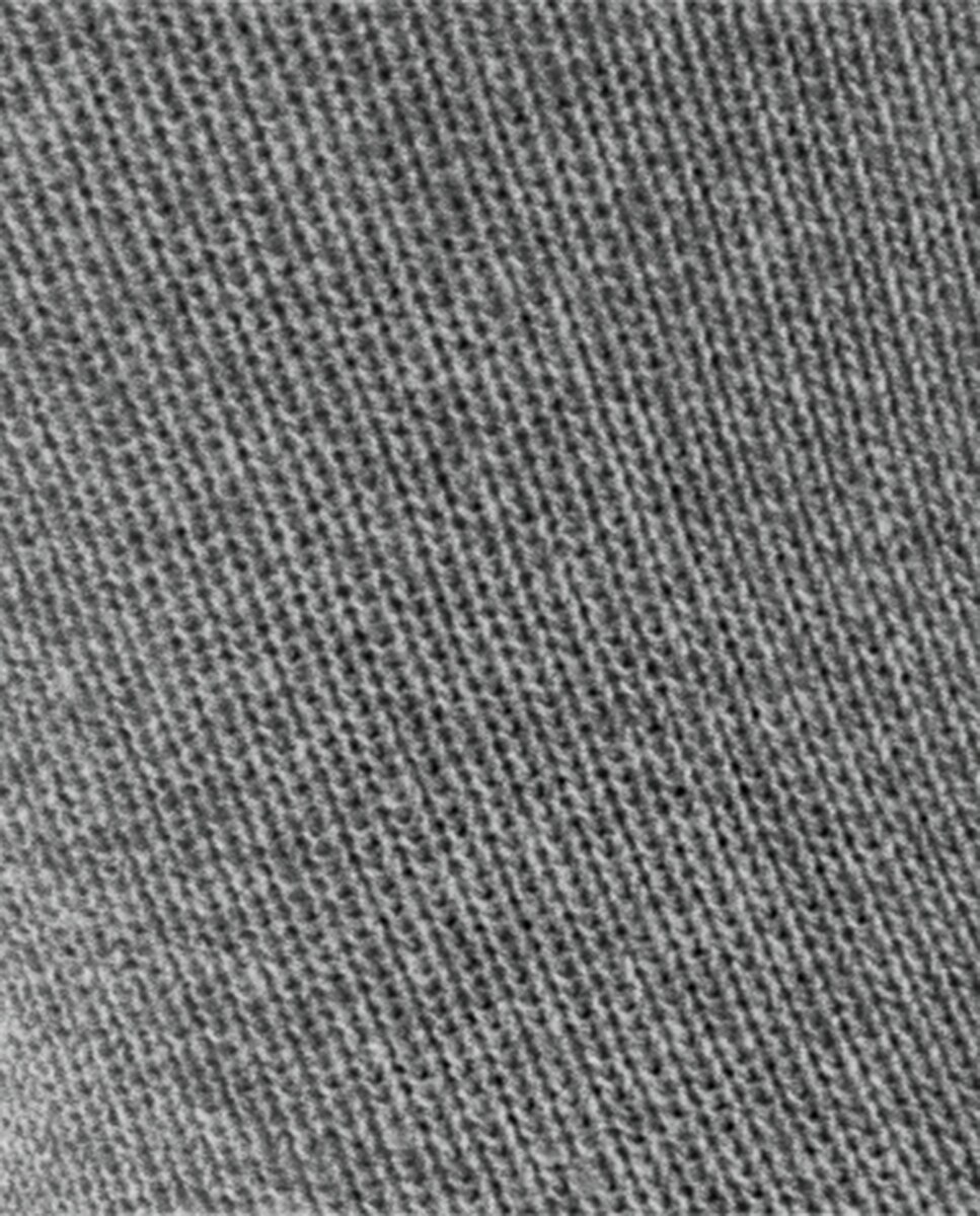 Calcetín de mujer básico - Falke - Gris Gris-6