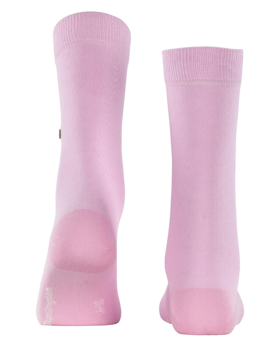 Meias lisas de algodão Rosa-2