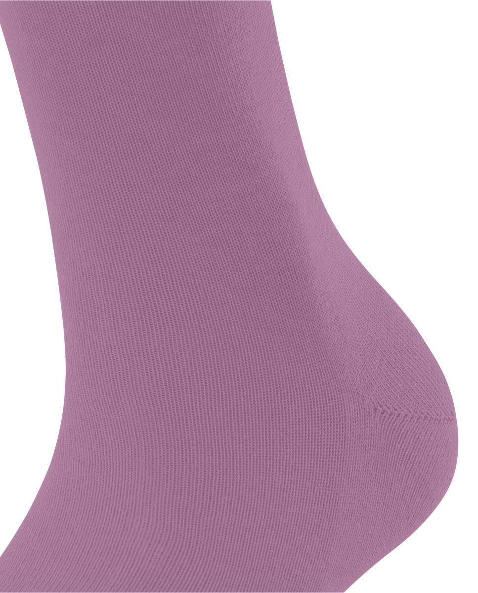 Meias básicas Rosa-5