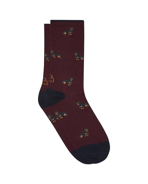 Imagen 0 de Calcetín regular de señora