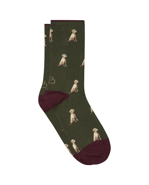 Imagem 0 de Meias Regular