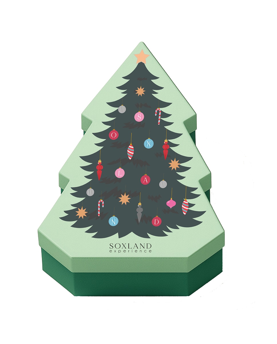 Caixa de Presente Árvore de Natal com Pack de Três Pares de Meias com Fantasia Multicolor-3