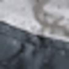 Gris