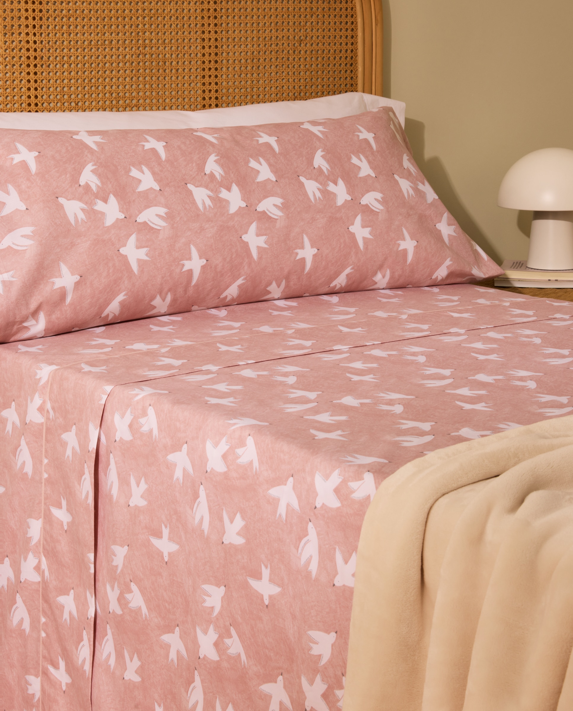 Imagem 0 de Conjunto de Lençóis de Algodão Lark