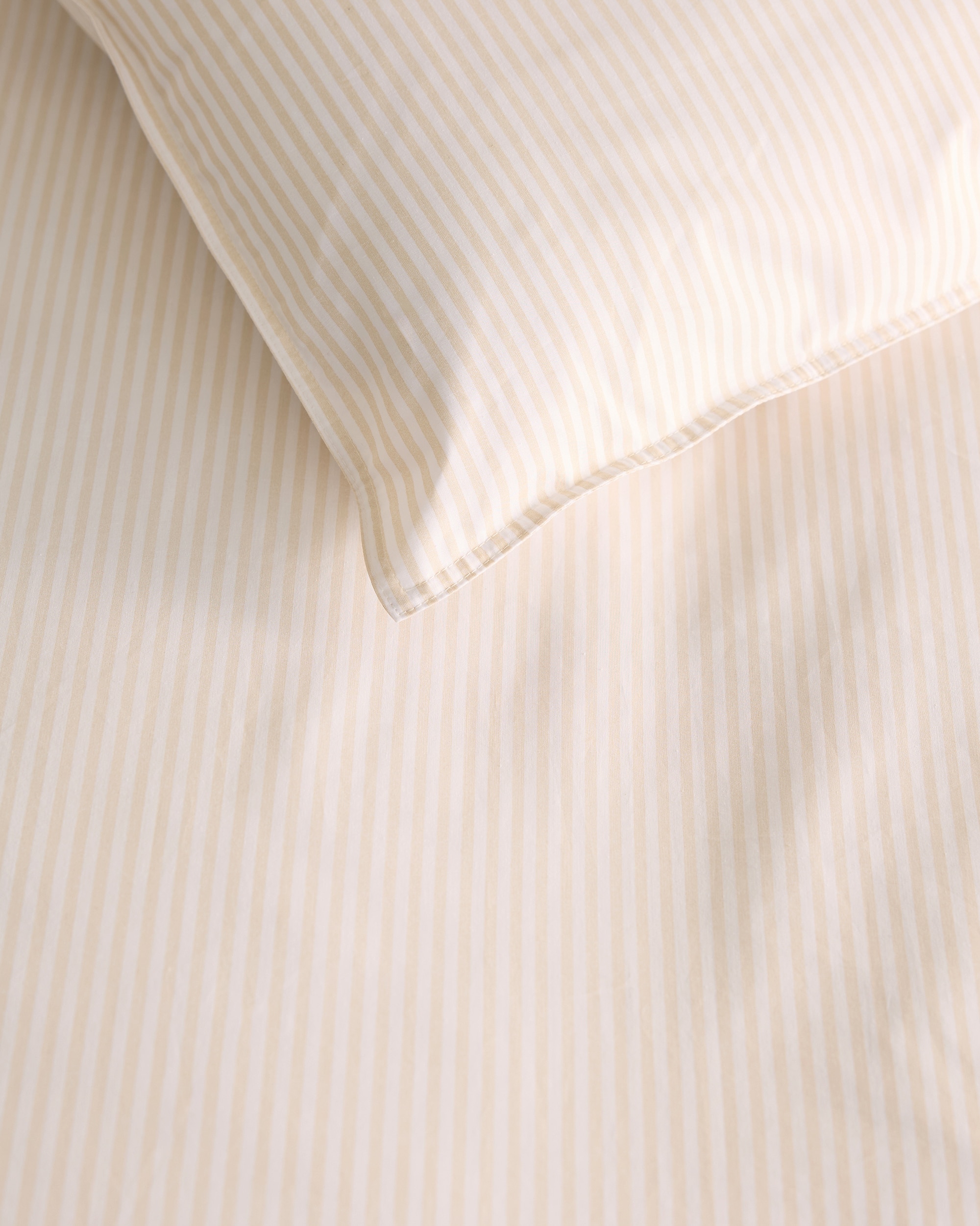 Juego de funda nórdica algodón Robin - Beige Cama 90 cm Beige-4