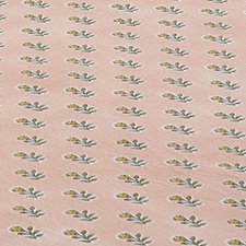 Rosa Rosa