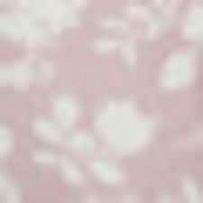 Rosa Rosa