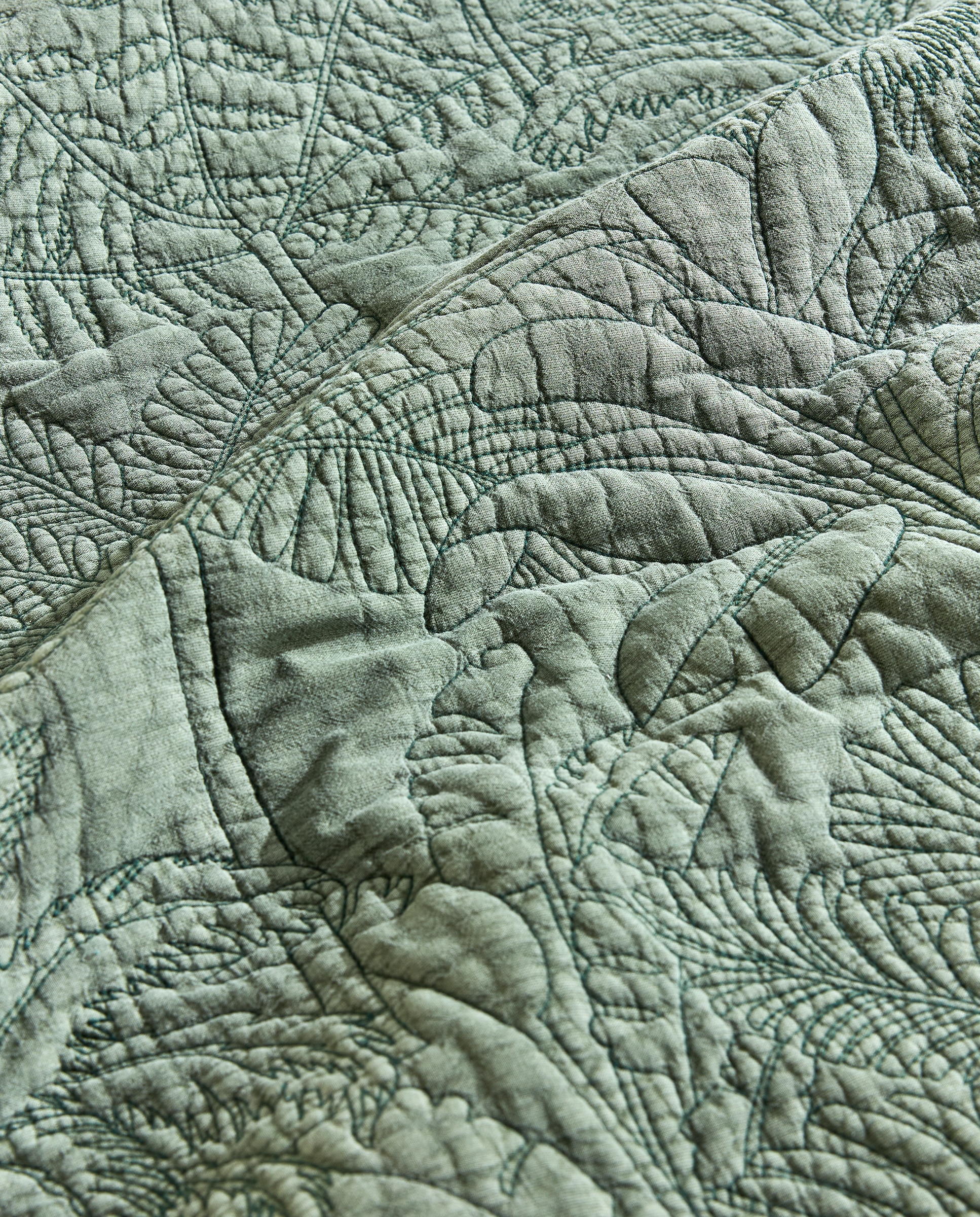 Colcha de Algodão Bornéu Verde-3