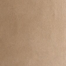 Beige Beige