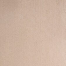 Beige Beige