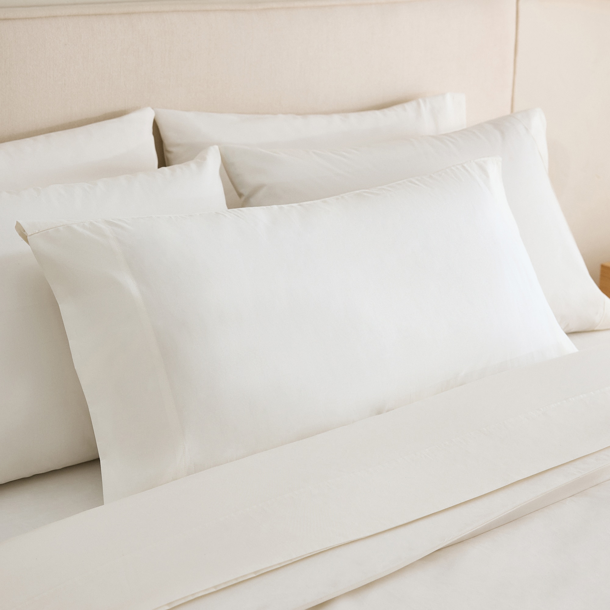 Funda de almohada Algodón Percal 200 hilos - Crudo 45 x 155 cm Crudo-1