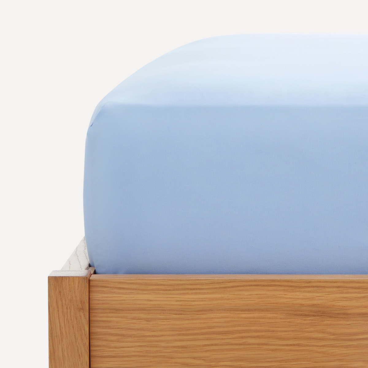 Imagen 0 de Sábana bajera ajustable algodón Percal Esencial 180 hilos platabanda 35 cm El Corte Inglés