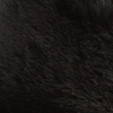 Preto