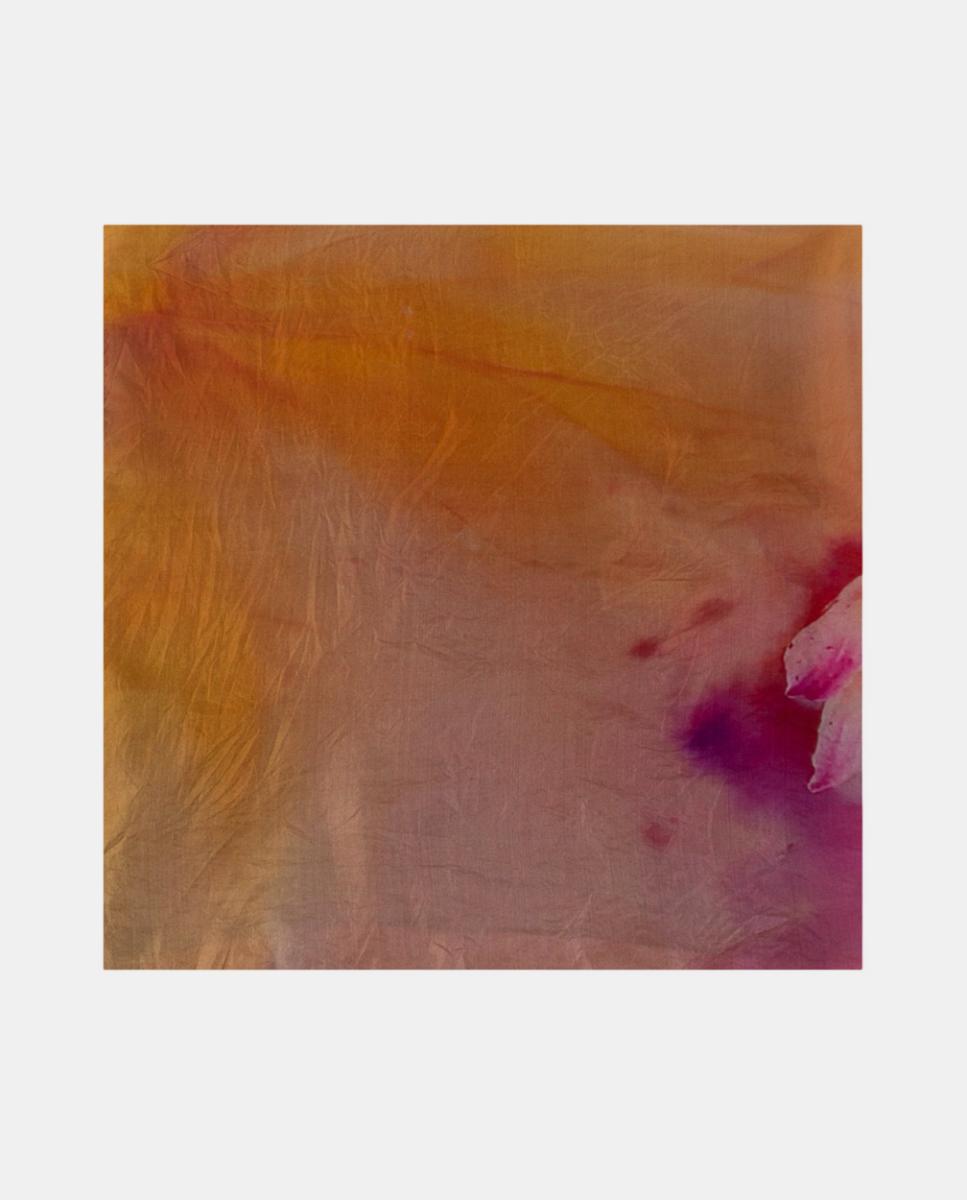 Imagem 0 de Lenço Quadrado de Seda com Estampado