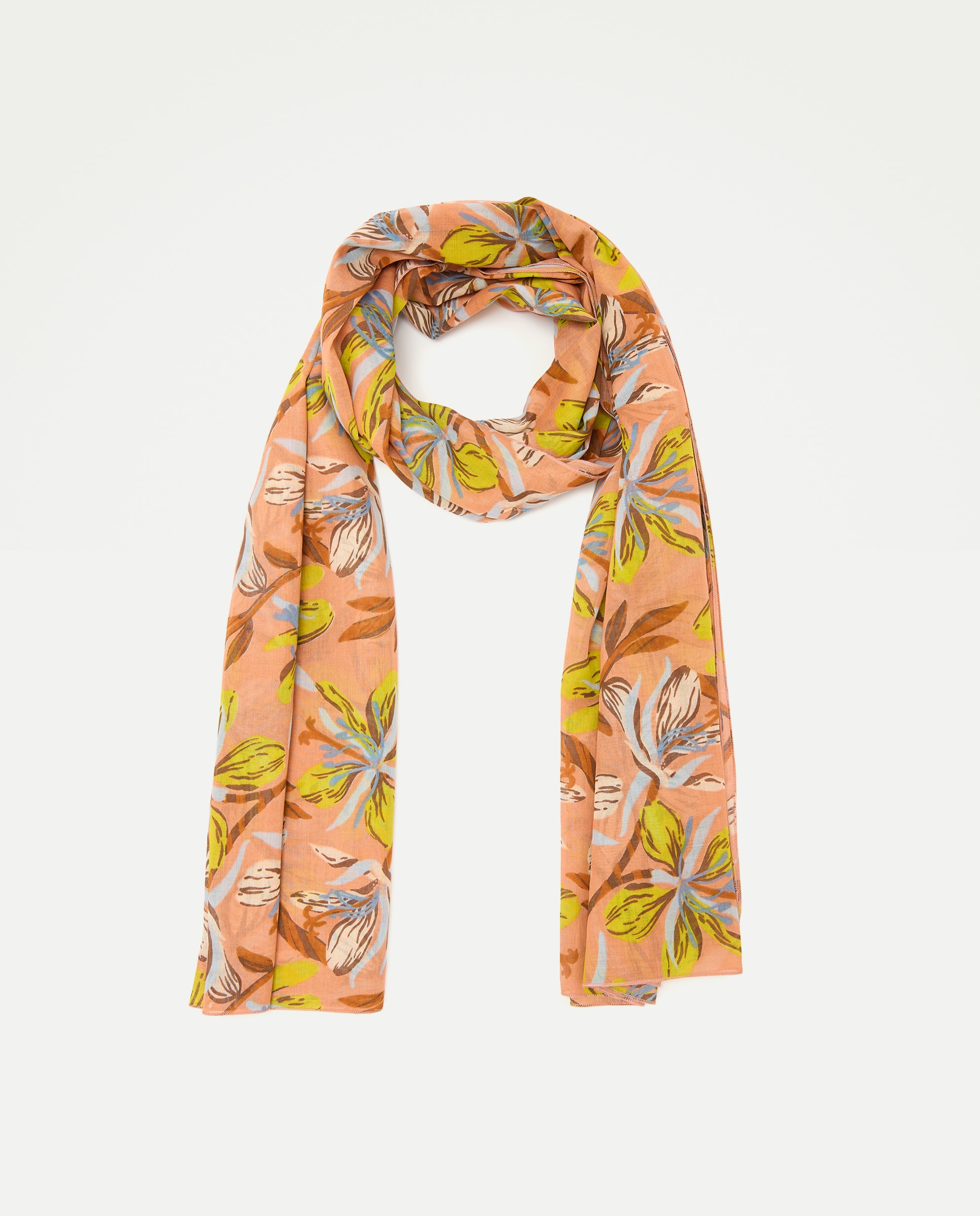 Imagem 0 de Páreo de Algodão