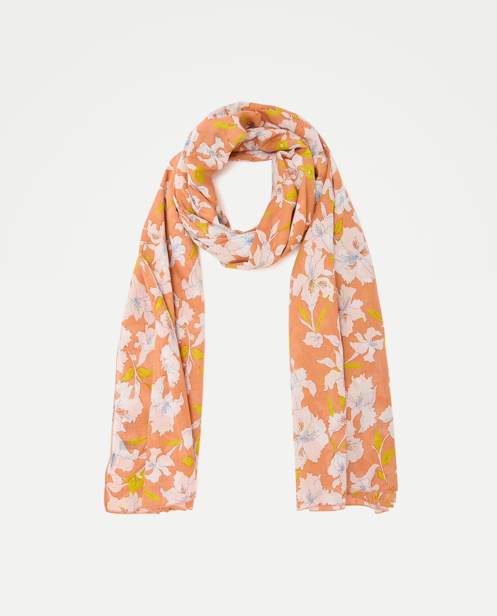 Imagem 0 de Páreo de Algodão