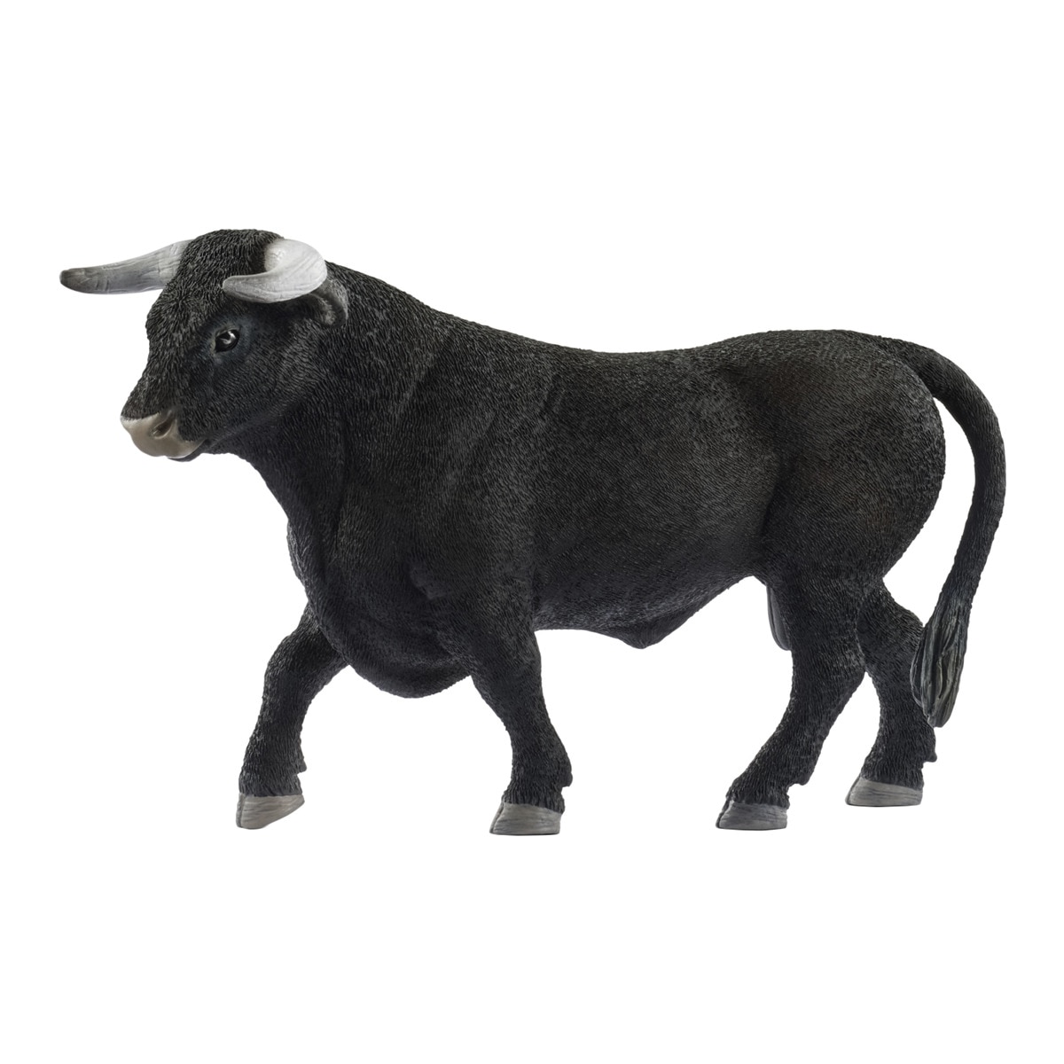 Touro Negro 1
