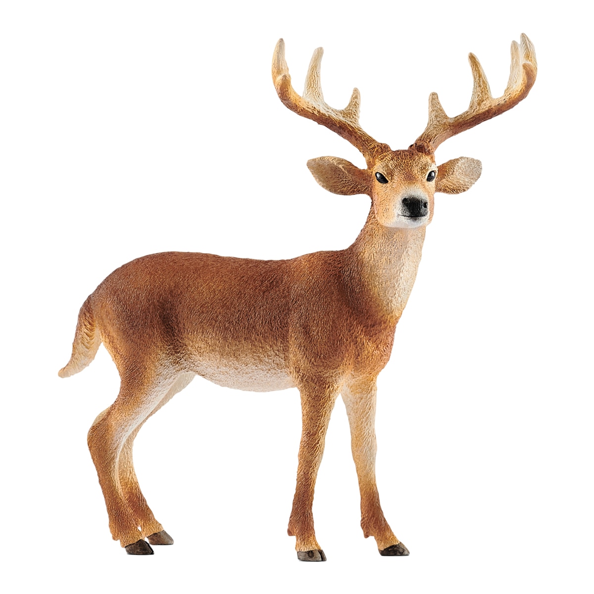 Veado-de-cauda-branca Schleich 1