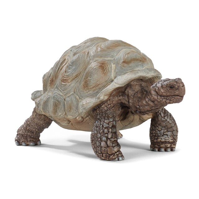 Figura Tortuga gigante Schleich