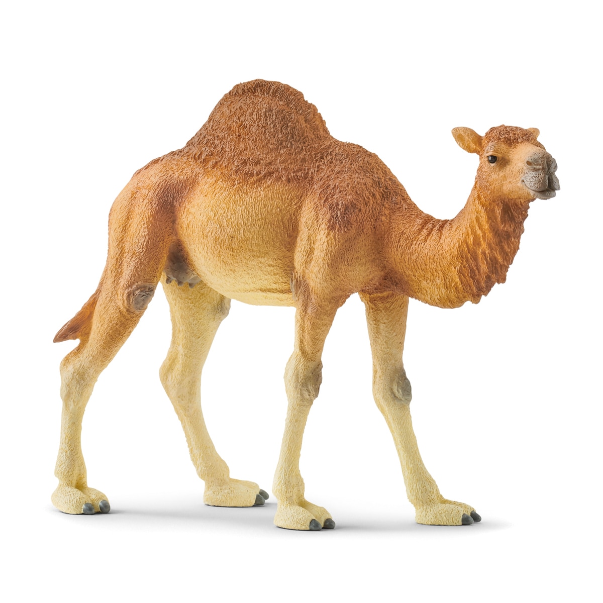 Imagen 0 de Figura Dromedario Schleich