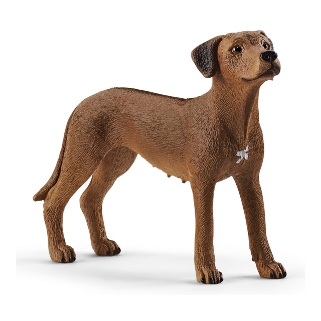 Imagen 0 de Figura Perro Crestado Rodesiano Schleich