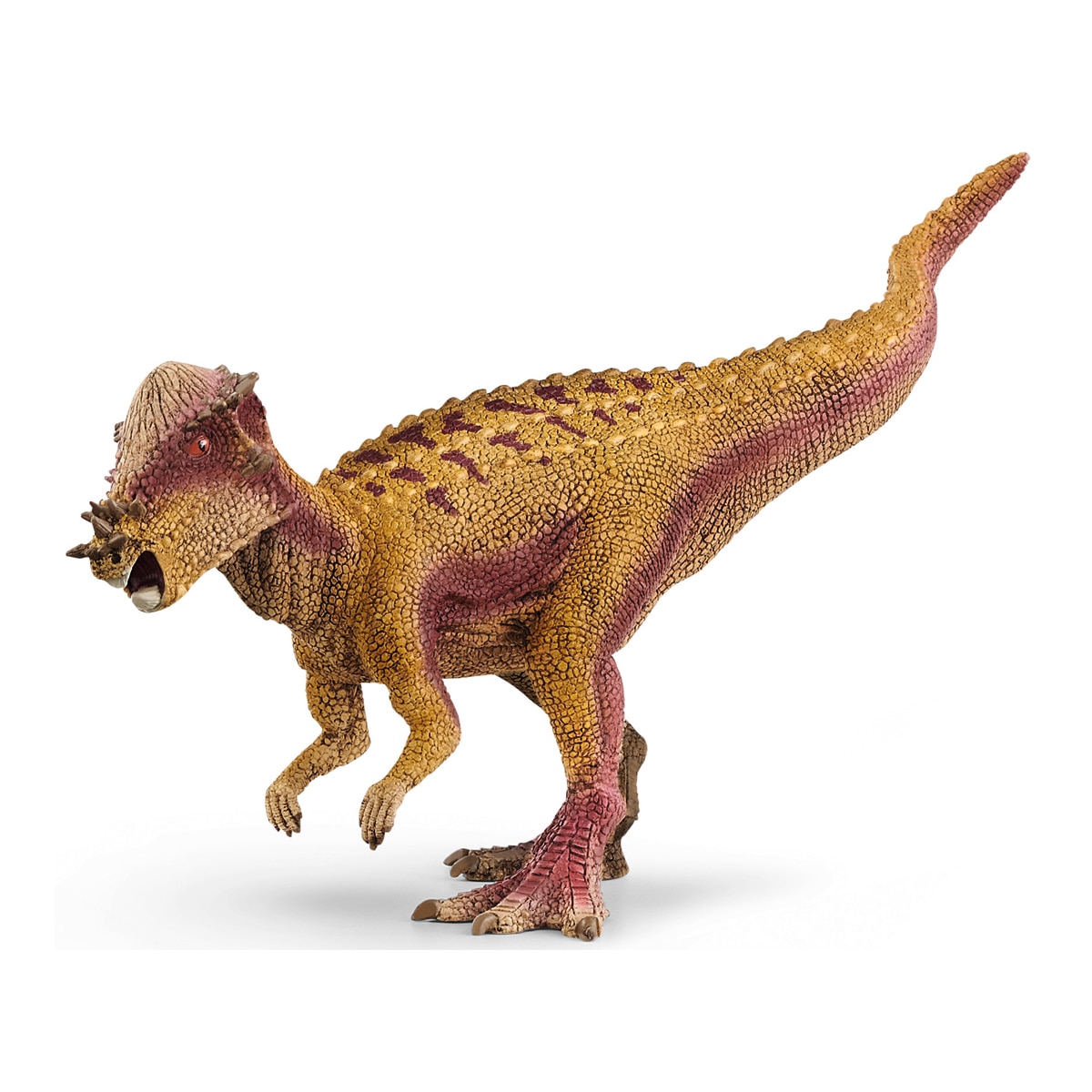 Imagen 0 de Figura Dinosaurio Pachycephalosaurus Schleich