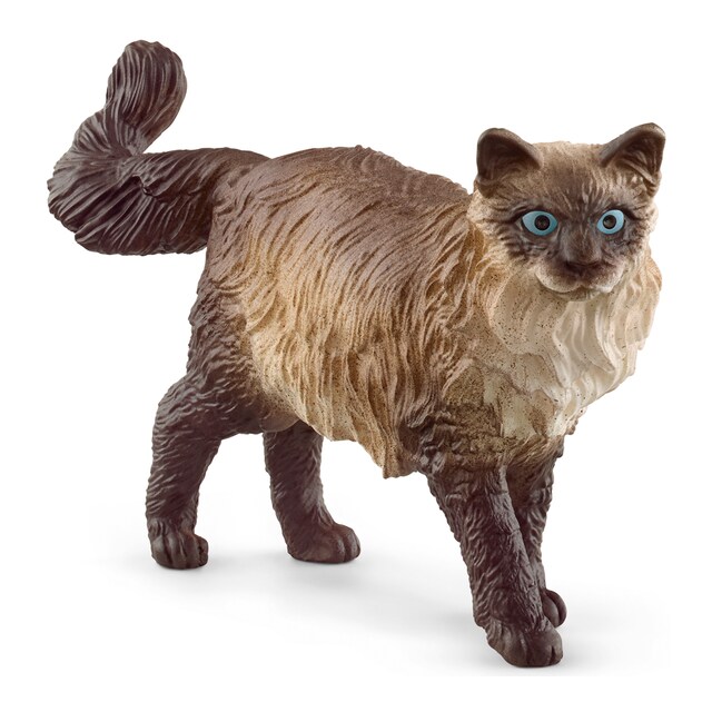 Imagem 0 de Figura Gato Ragdoll Schleich