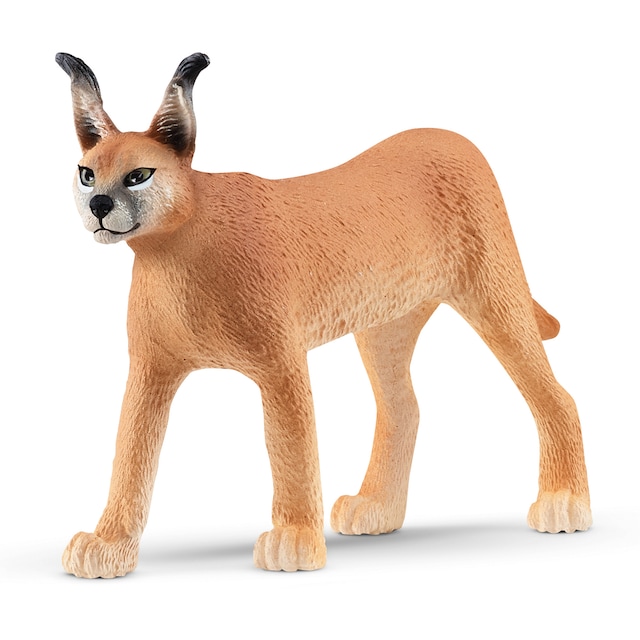 Imagem 0 de Boneco Caracal Fêmea  Schleich