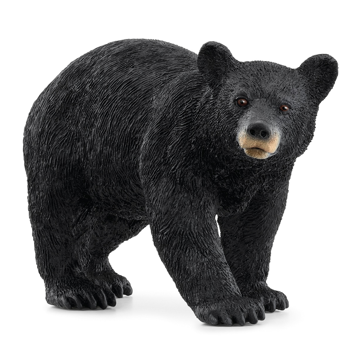 Imagen 0 de Muñeco Oso negro americano Schleich