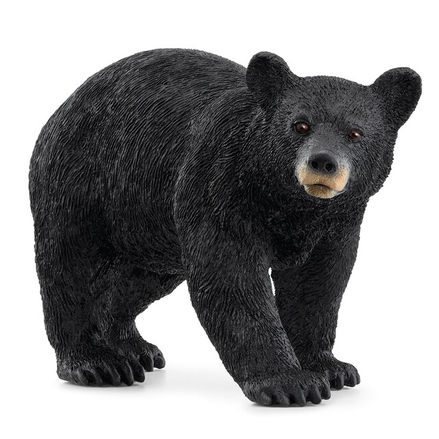 Muñeco Oso negro americano Schleich