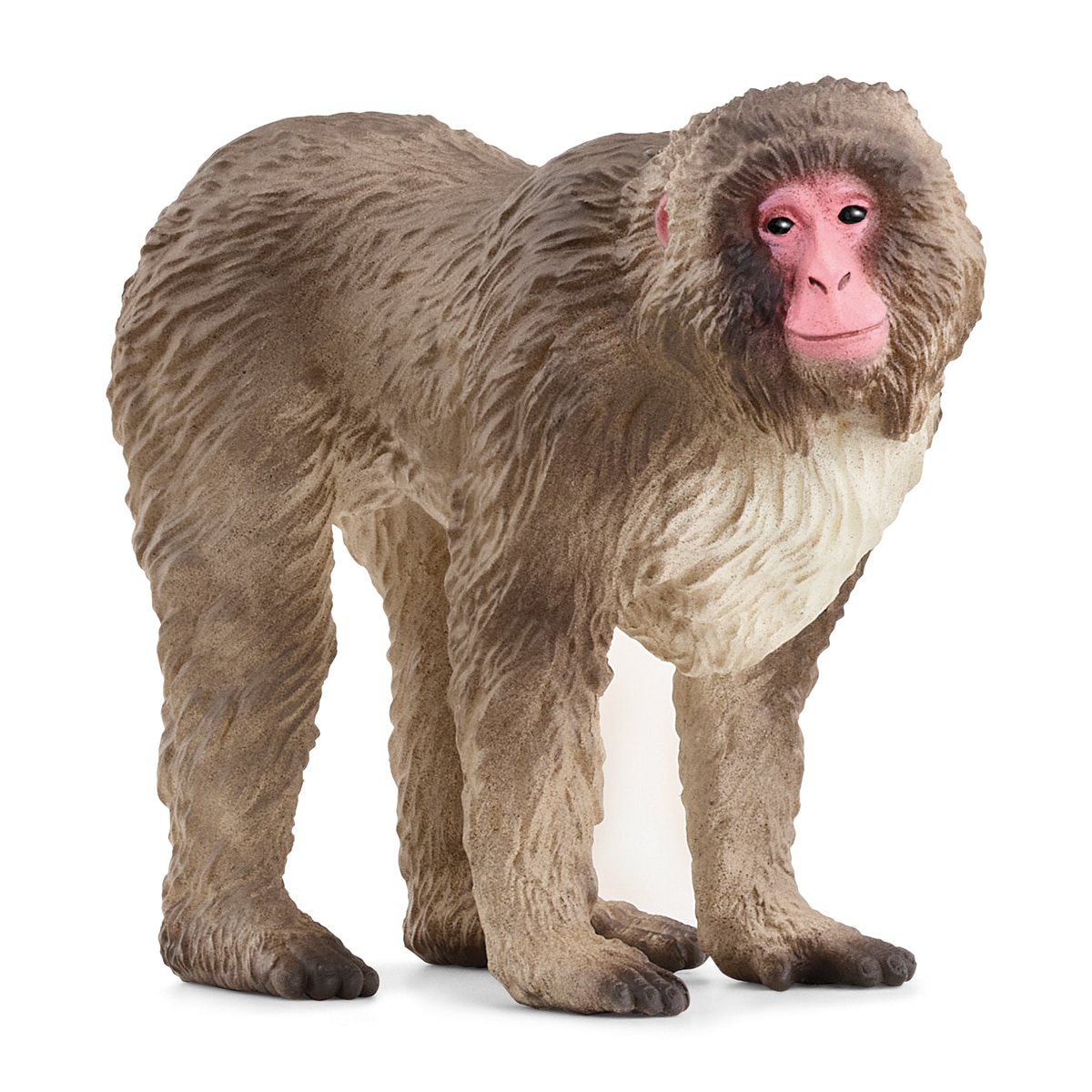 Imagen 0 de Muñeco Macaco japonés Schleich