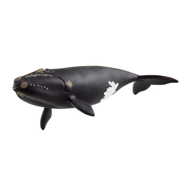 Figura Ballena franca glacial Schleich