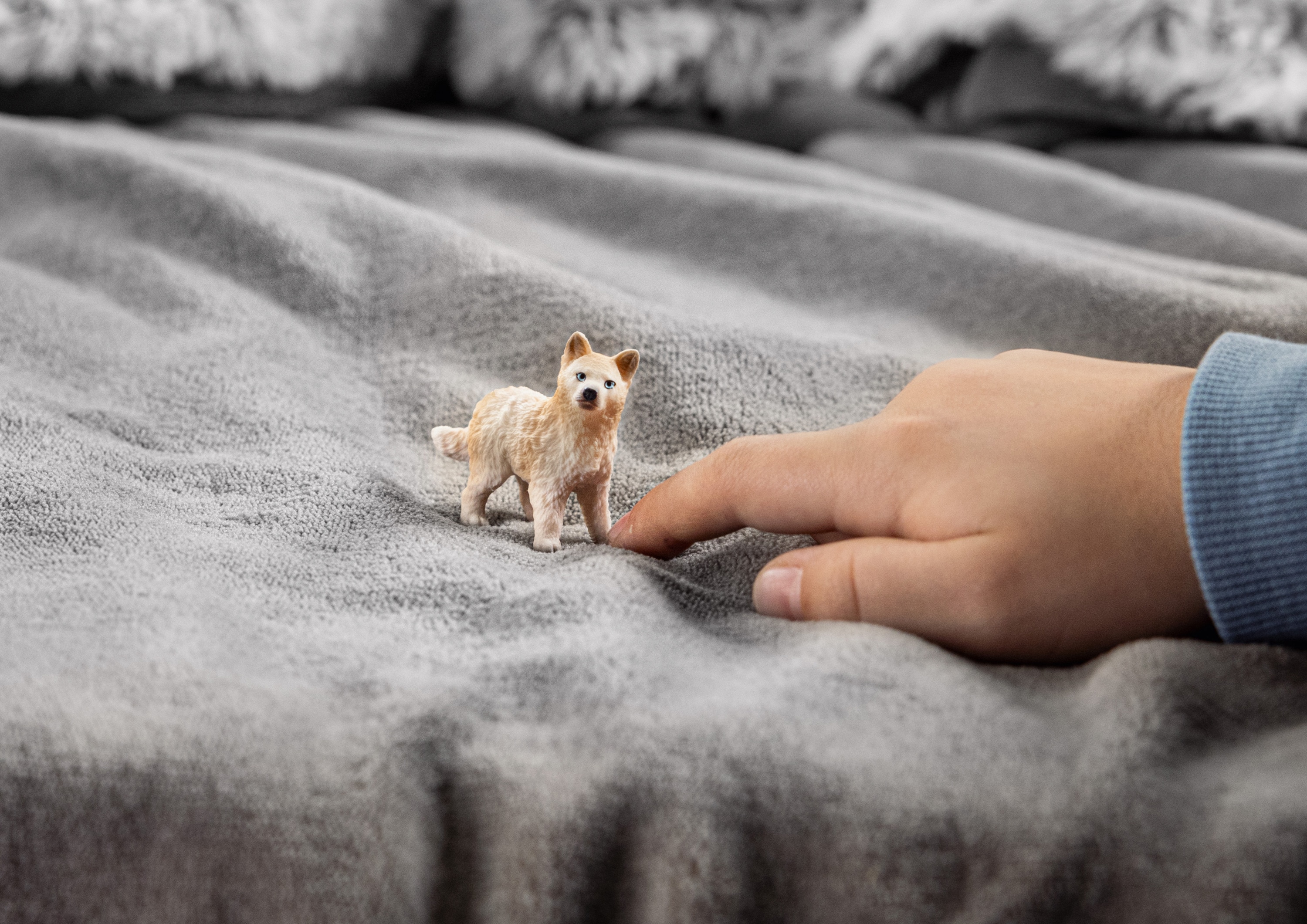 Cachorro Lobo Ártico 2