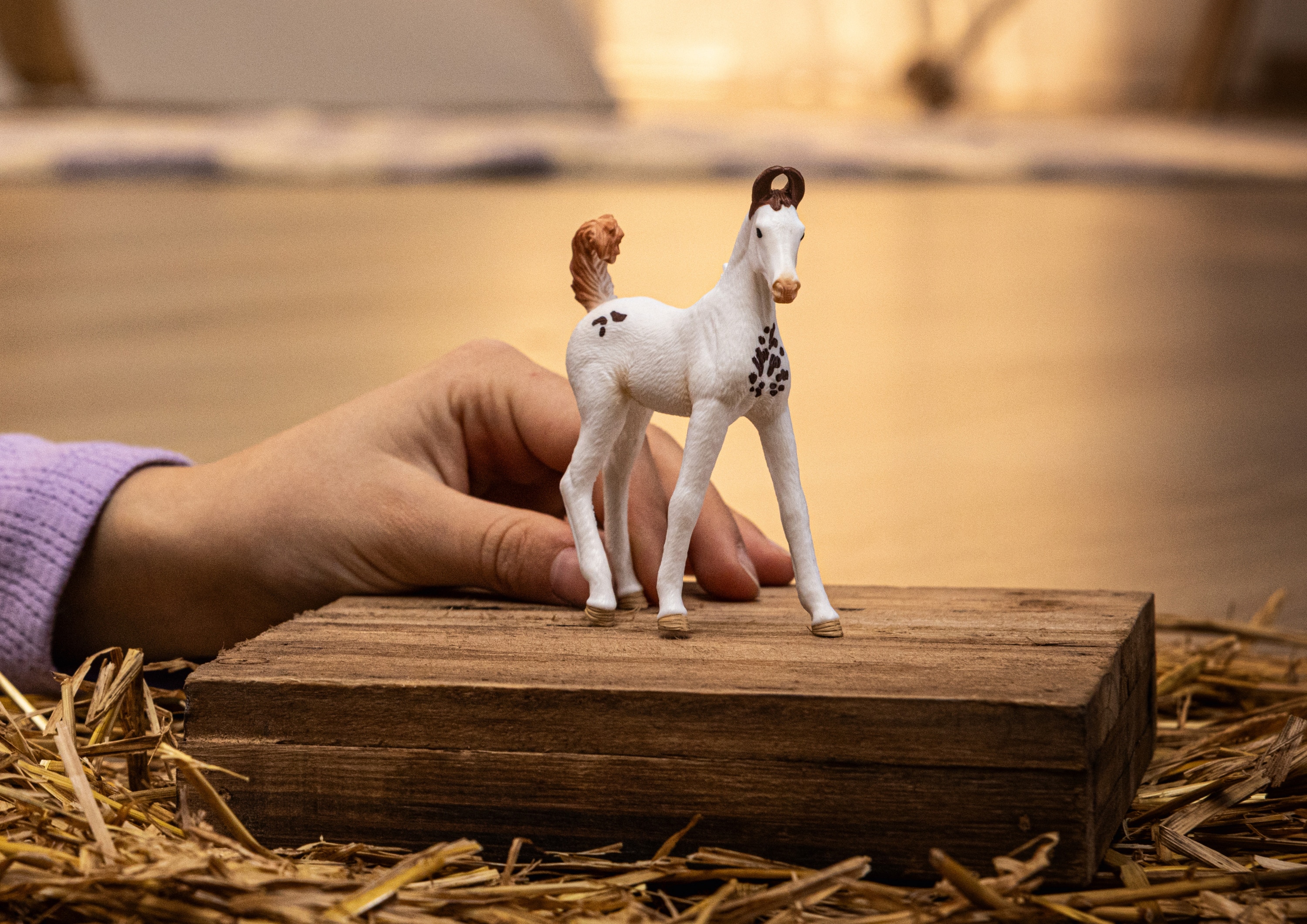Figura Potro Marwari Schleich 2