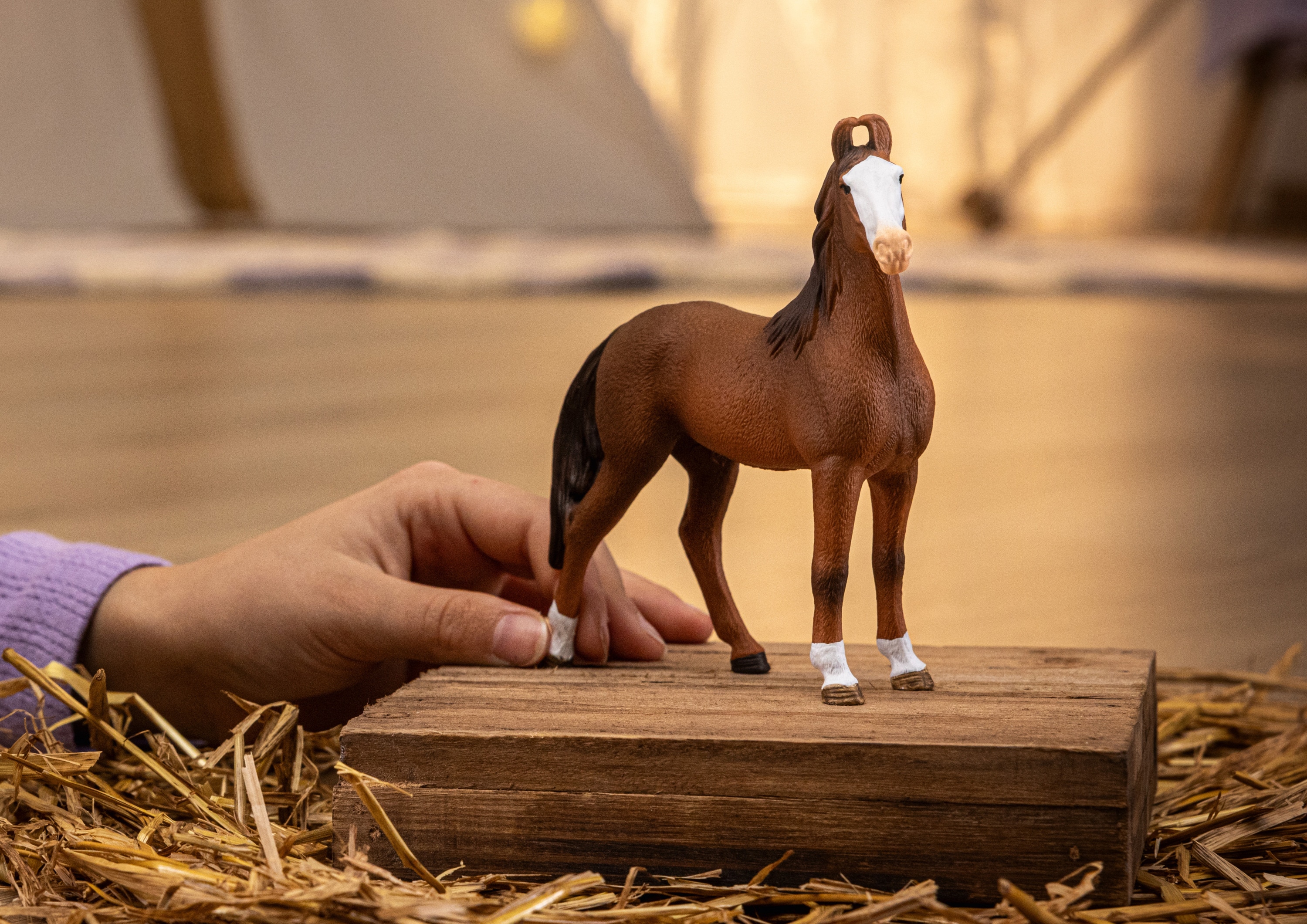 Figura Égua Marwari 2