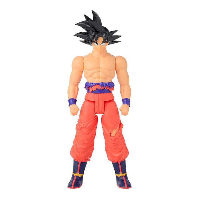 LBS GOKU BATTLE DAMAGED