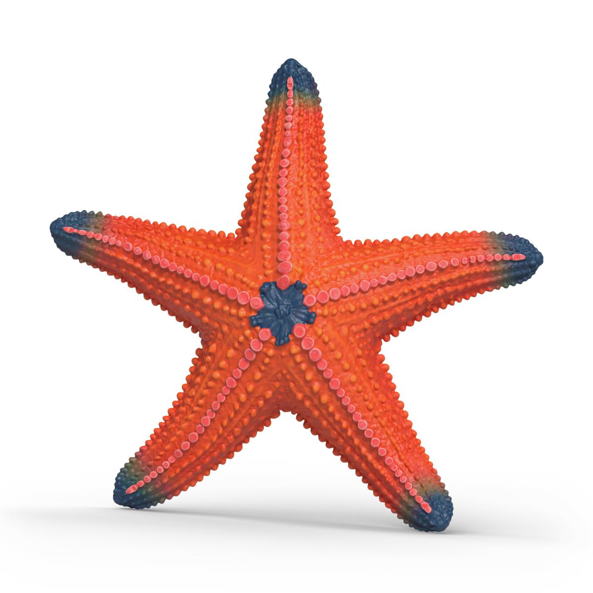 Imagen 0 de Figura Estrella de mar Schleich