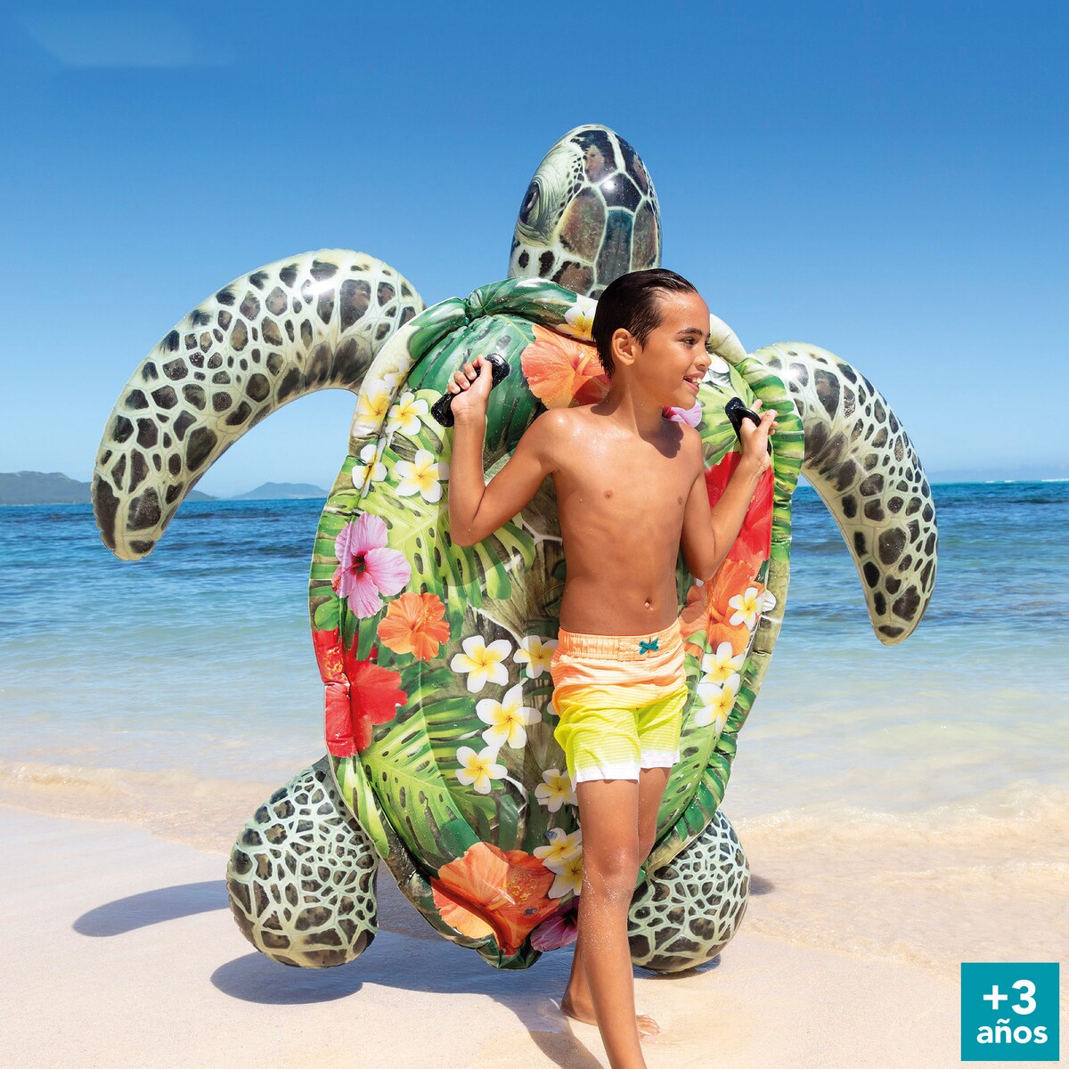 Colchoneta Ride on Tortuga 5