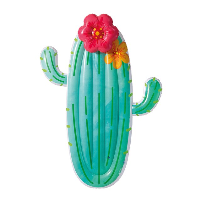 Colchoneta hinchable Cactus Intex