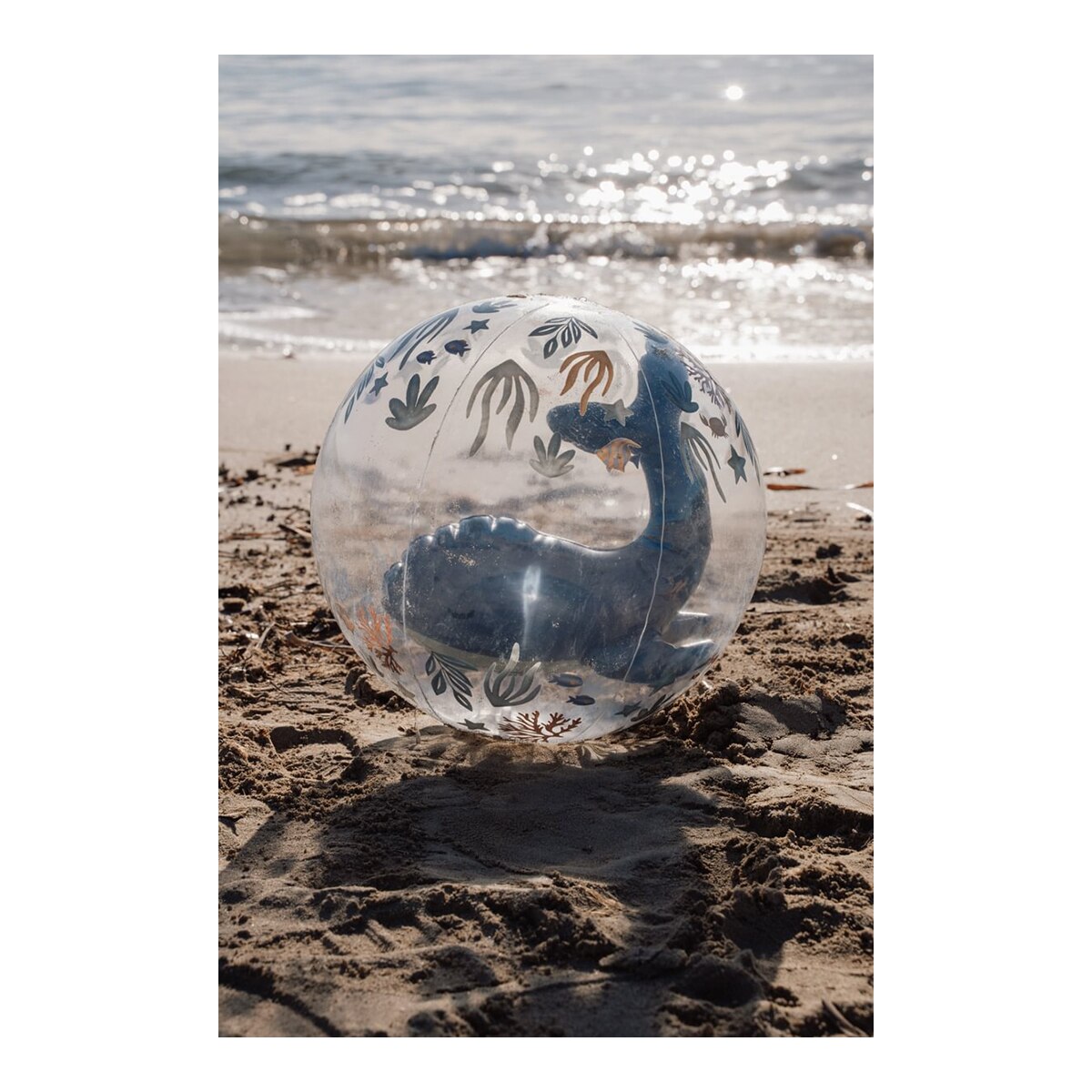 Pelota de playa 3D Océano Little Dutch 2