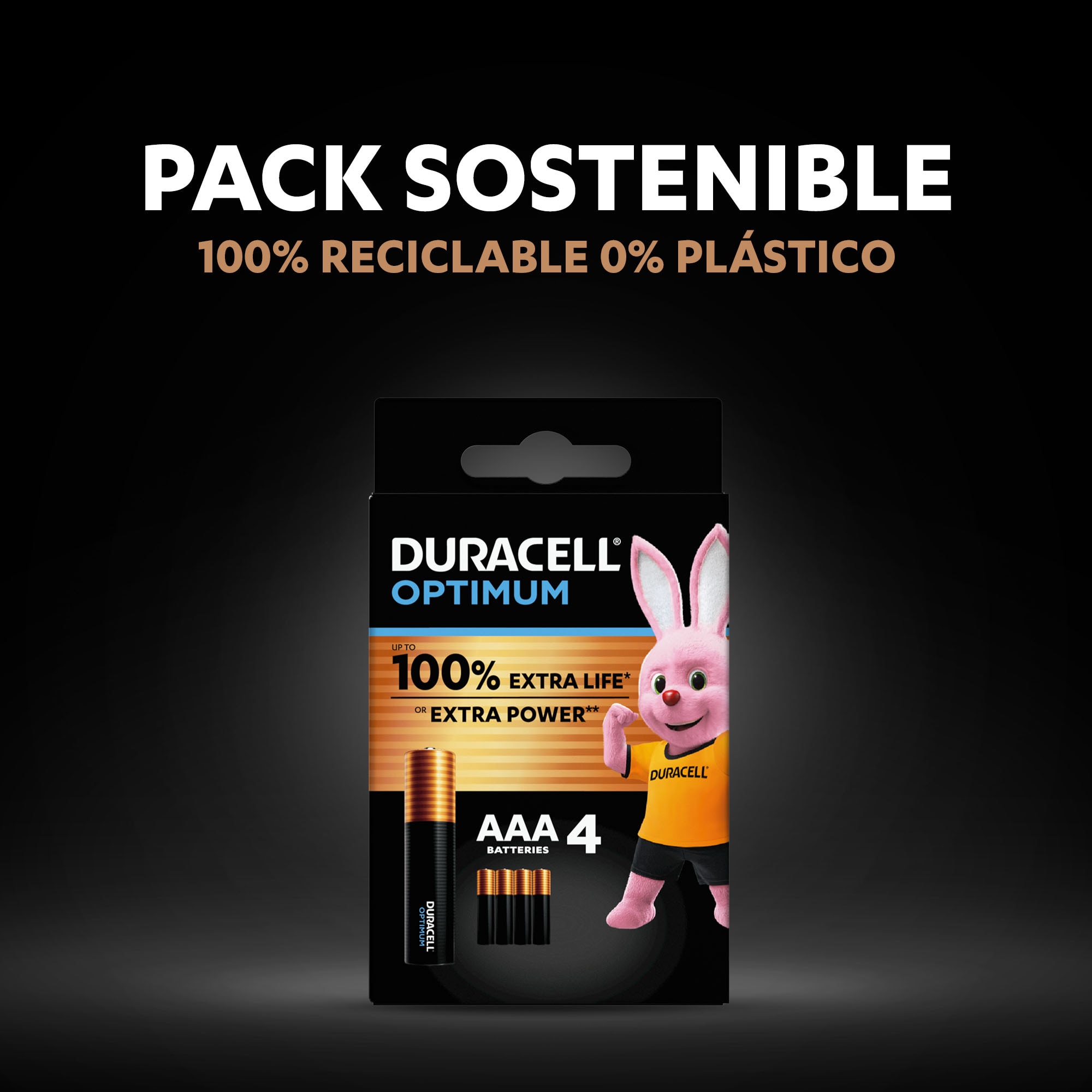Pilas Duracell AAA blister 4 unidades 4