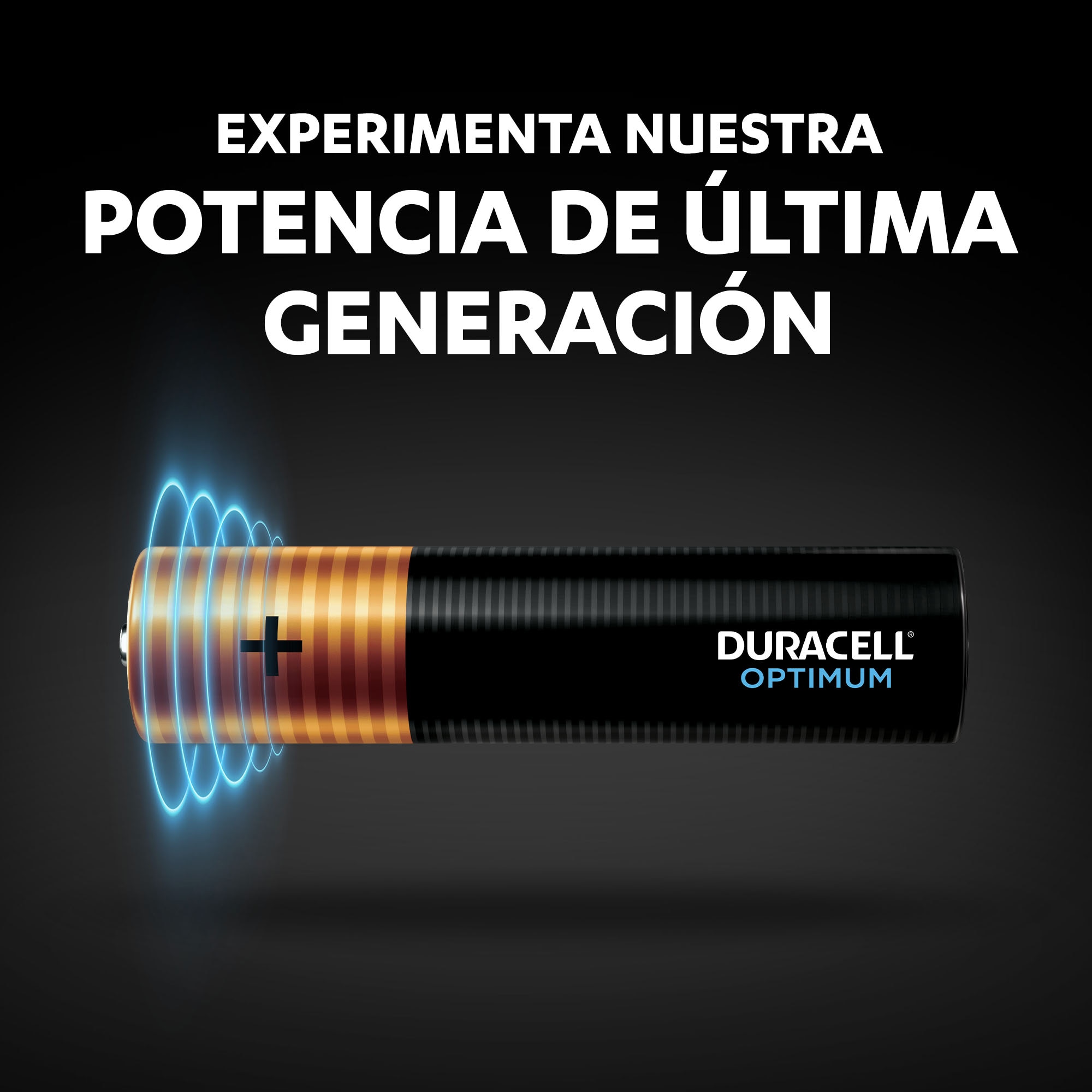 Pilas Duracell AAA blister 4 unidades 5